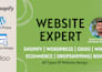 expert in design earning shopify design